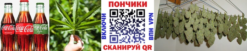 Canna-Cookies конопля  mega как зайти  Хасавюрт 
