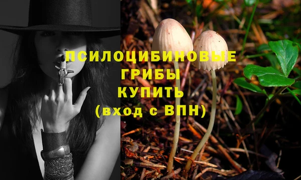кокс Магас