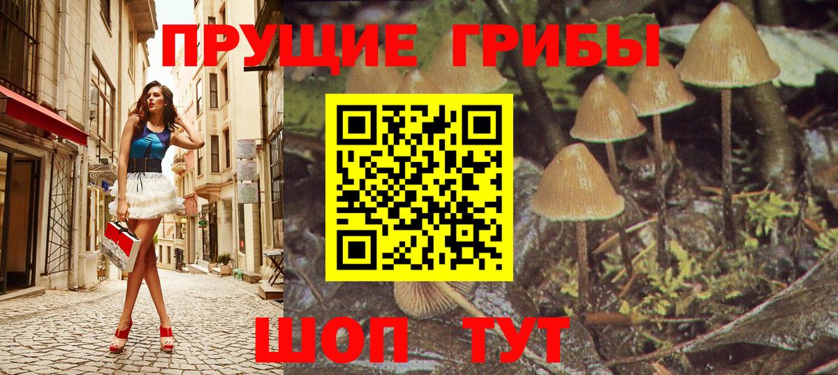 Псилоцибиновые грибы Psilocybine cubensis  Галлюциногенные грибы ЛСД  купить наркоту  Вход с VPN  Хасавюрт 